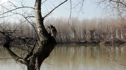 River Stock Footage 32726085