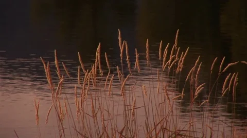 River Stock Footage 72572047