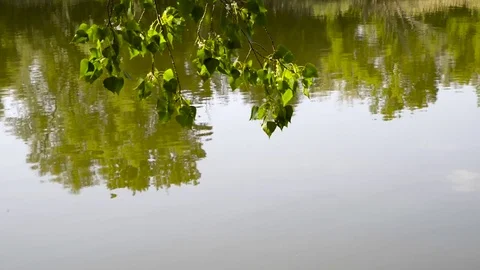 River Stock Footage 75981254