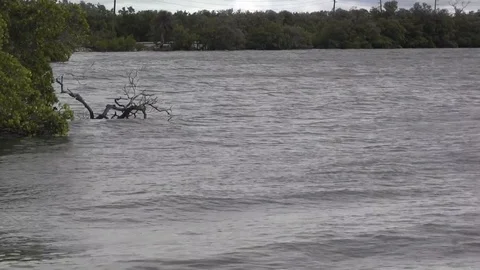 River Stock Footage 88591713