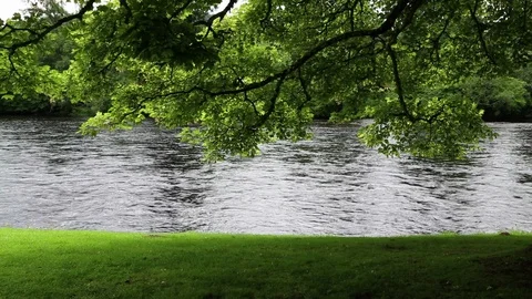 River Stock Footage 90597423