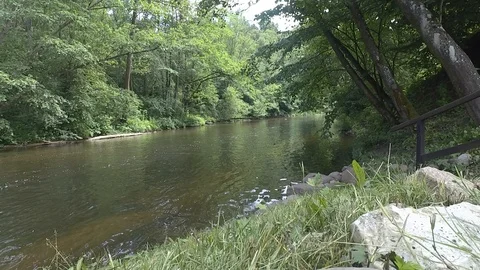 The river Video stock 91102855