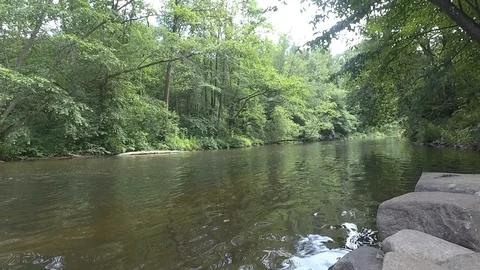 The river Stock Footage 91102871