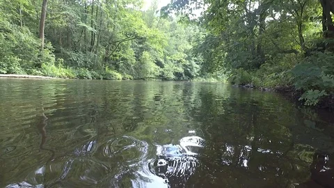 The river Video stock 91102873