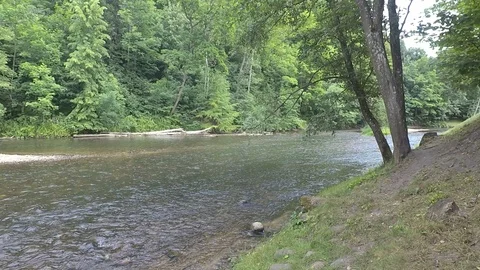 The river Video stock 91102966