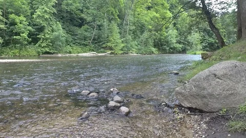 The river Video stock 91102980