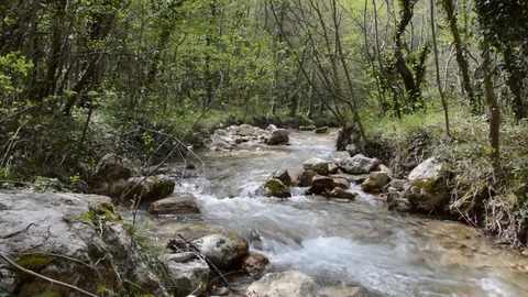 River Stock Footage 92048331