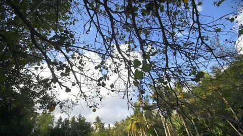 River Stock Footage 93782540