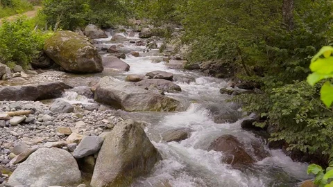 River 動画素材 94545081