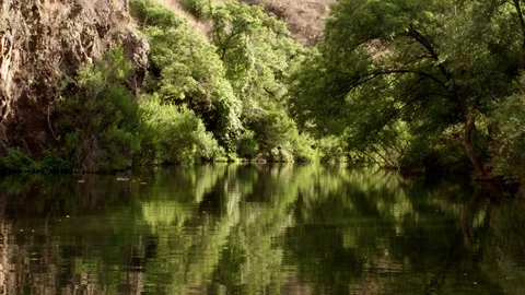 River Stock Footage 98959522