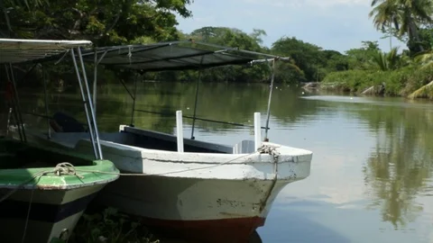 River Stock Footage 101493085