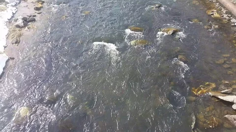 River Stock Footage 106368703