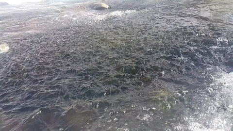 River Stock Footage 106370070