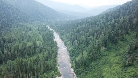 River. 스톡 동영상 111809419