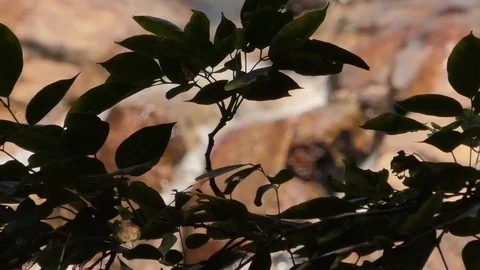 River Stock Footage 112351794