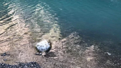 River Stock Footage 114310963