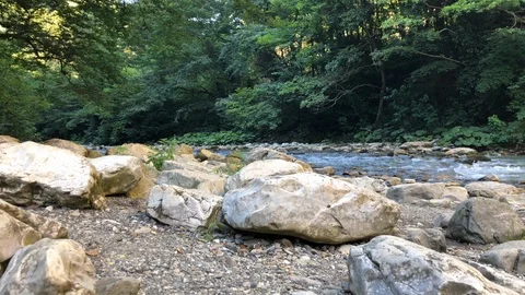 River 스톡 동영상 114311322