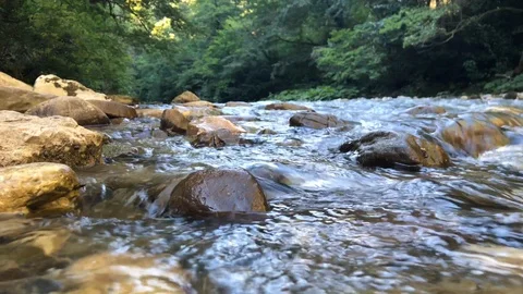 River Stock Footage 114311583