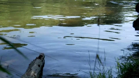 River Video stock 115767264