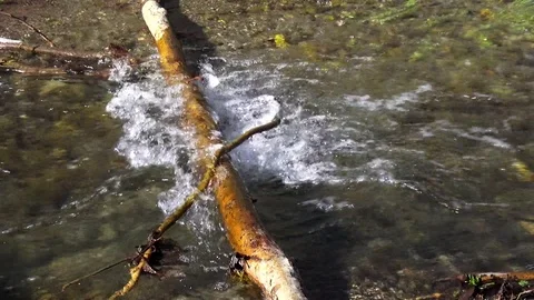 River Stock Footage 122353663