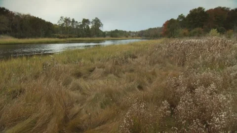 River Stock Footage 123916463