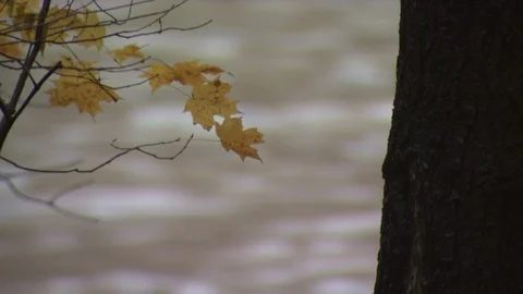 River Stock Footage 123926894