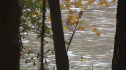 River Stock Footage 123926924