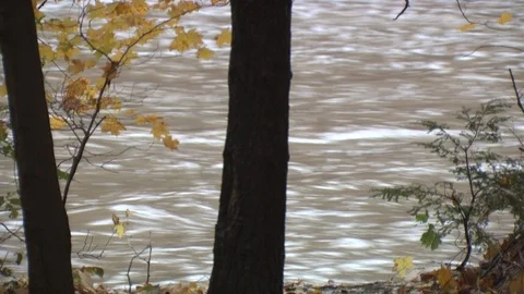 River Stock Footage 123926943