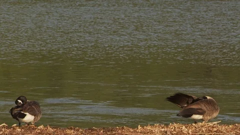 River Stock Footage 123928595