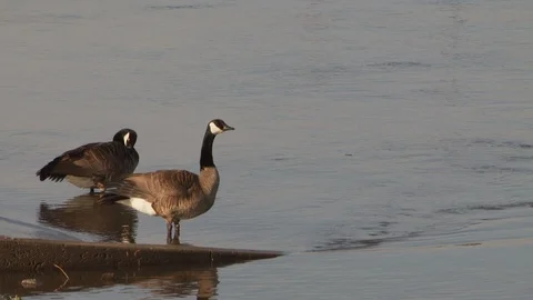 River Stock Footage 123928622