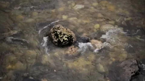 River Stock Footage 127531515