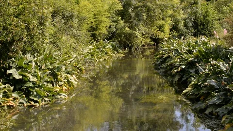 River Stock Footage 128577519