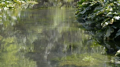 River Stock Footage 128577601