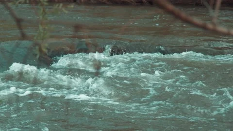 River Video stock 130380821