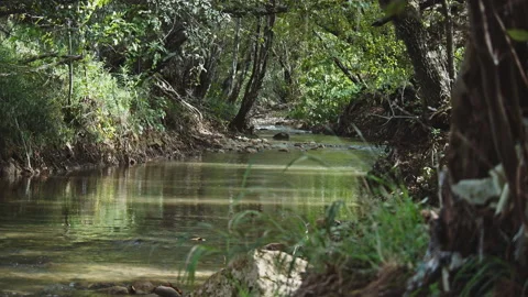 River Stock Footage 133837139
