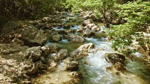 River Stock Footage 134419267