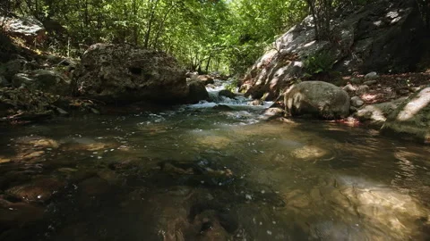 River Stock Footage 134479692