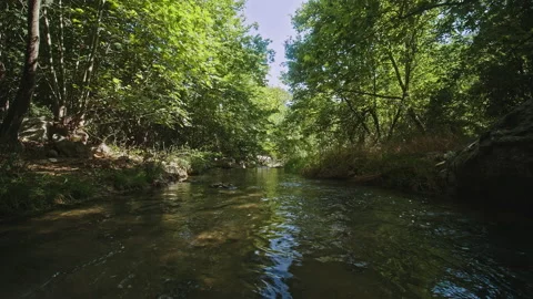 River Stock Footage 134916057