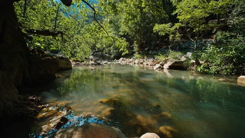 River Stock Footage 135486526