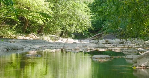 River Stock Footage 137649697