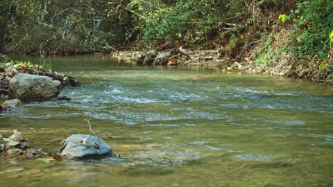 River Stock Footage 138185210