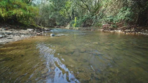 River Видео 138186050