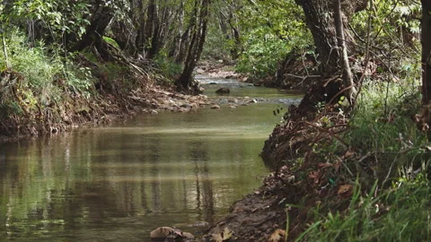 River Stock Footage 138192816