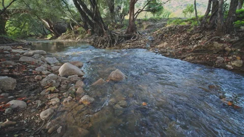 River Stock Footage 138194138