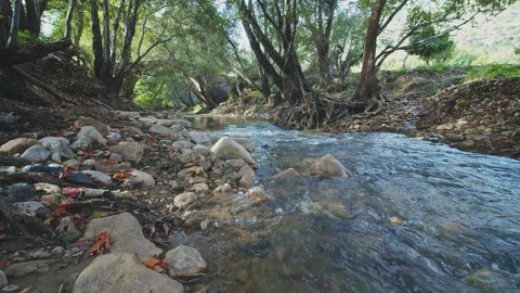 River Stock Footage 138196508