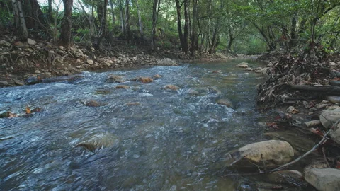 River Stock Footage 138198188