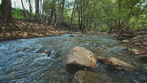 River Stock Footage 138206445