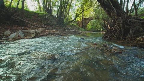 River Видео 138218738