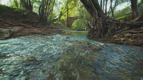 River Видео 138221206