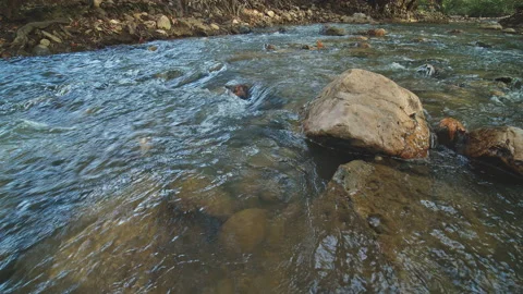 River Видео 138229441